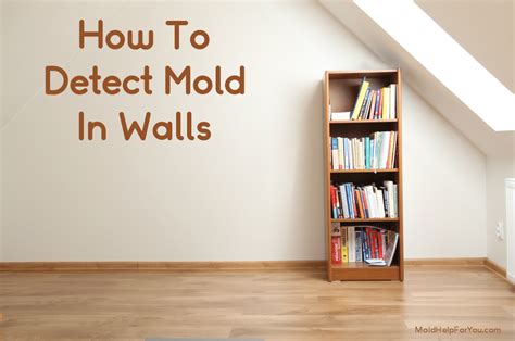 How to detect mold inside walls .